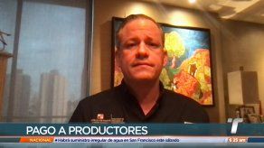 Gobierno pagará este viernes a 184 productores de maíz unos B/. 2.3 millones