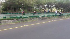 Camión pierde el control y deja caer cajas de cerveza en Loma Campana