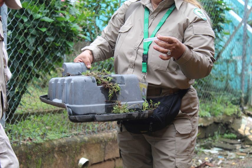 MINSA realiza operativo de fumigación contra mosquitos transmisores de enfermedades