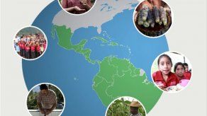 FAO: Mesoamérica debe redoblar lucha contra el hambre y necesita más recursos
