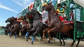 Reeligen a Mueller en el hipismo caribeño