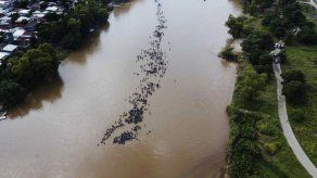 México regulará entrada de inmigrantes por frontera sur