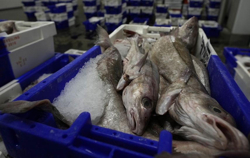 El presidente francés