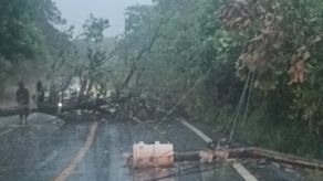 Naturgy Panamá informa la suspensión del servicio en Chiriquí.