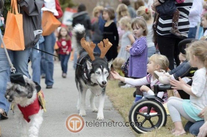 Desfile Reindog en Atlanta EE.UU