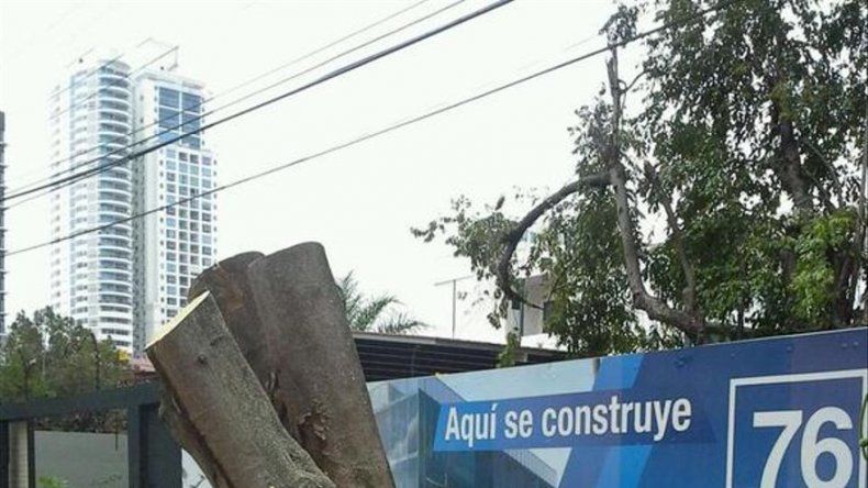 Árbol cae sobre un auto en San Francisco