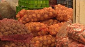Alto costo de la cebolla persiste en Merca Panamá