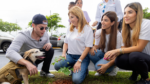 Mayer Mizrachi planta 1,000 árboles en la Avenida Balboa&nbsp;