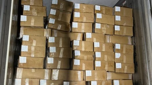 Panameños exportan 37.4 toneladas de camarón rojo a China