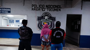 Policía Nacional. Detenciones Policía Nacional. Detenciones