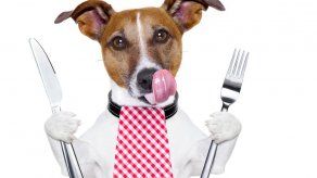 ¿Comerías en un restaurante para perros?