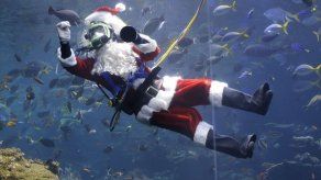 Buzo Papa Noel alimenta peces en museo en California