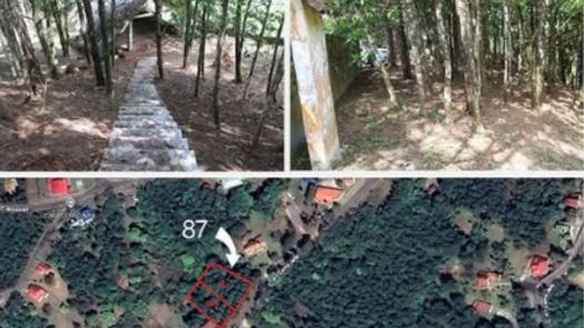 MEF anuncia subasta lote en Cerro Azul a 47 mil balboas. MEF anuncia subasta lote en Cerro Azul a 47 mil balboas.