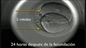 La música mejora la fecundación de los óvulos in vitro en un 4