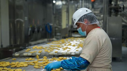 Sector avícola panameño avanza hacia certificaciones internacionales.