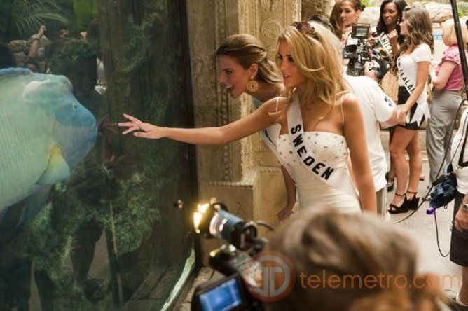 Aspirantes a Miss Universo 2010 dan su paseo