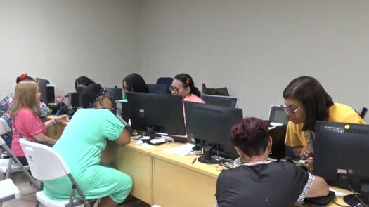 Proceso de registro del CEPANIM. Proceso de registro del CEPANIM.