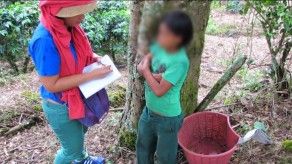 Mitradel realiza operativos para detectar trabajo infantil en Merca Panamá Mitradel realiza operativos para detectar trabajo infantil en Merca Panamá