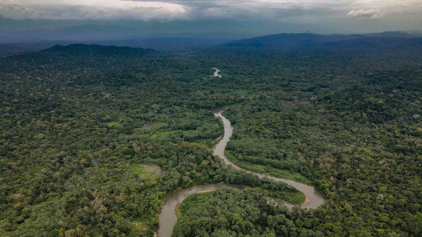 Universidad de Leidem de los Países Bajos realiza importante investigación en Darién