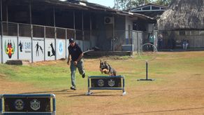 Policía Nacional&nbsp;