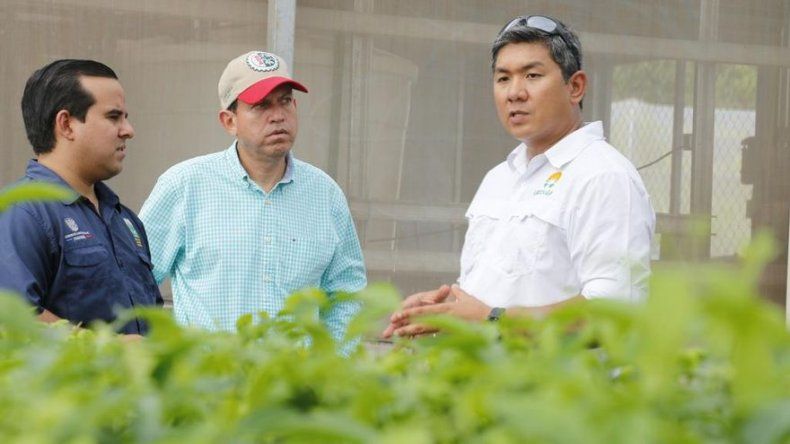 El MIDA presenta el sello orgánico a productores de la región central