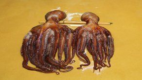 Mucha demanda y poca oferta de pulpo: suben los precios