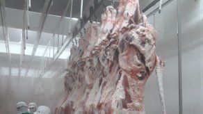 Panamá exportará a China su primer cargamento de carne de res el 22 de junio Panamá exportará a China su primer cargamento de carne de res el 22 de junio