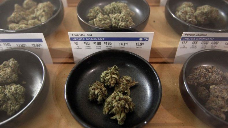 Dakota del Norte: Decidirán marihuana recreativa en urnas