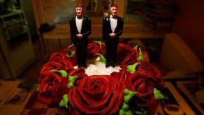 Entra en vigor la ley sobre matrimonio homosexual en Irlanda