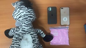 Utilizan peluches para transportar droga