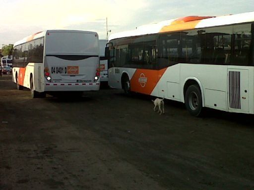 Empresa Mi bus tomará correcciones ante accidentes