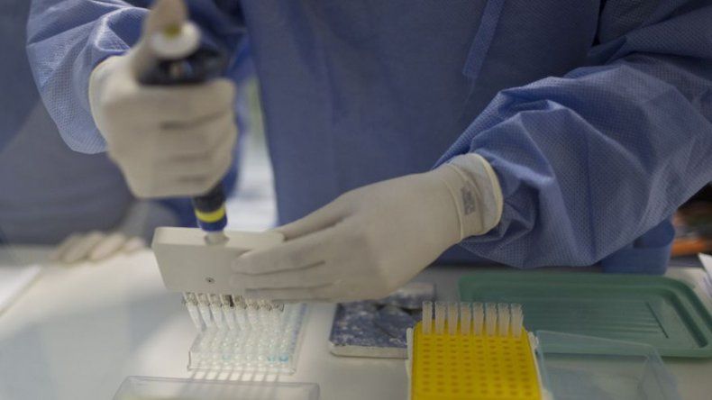 Científicos de EEUU y Colombia buscarán vacuna contra el zika