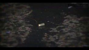 Ley Zanahoria vuelve al tapete