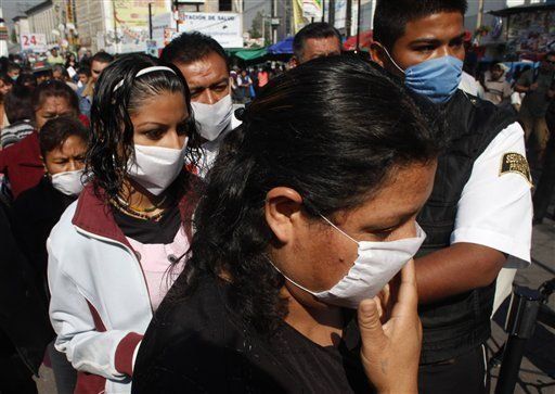 FAO: La gripe aviar amenaza con resurgir la próxima temporada