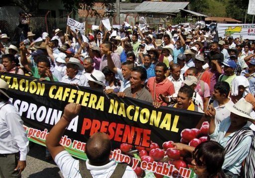Colombia: Gobierno suspende negociación cafeteros