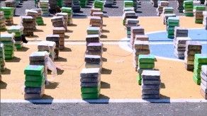 Incautan 1,713 paquetes de droga en la comarca Guna Yala, 4 detenidos