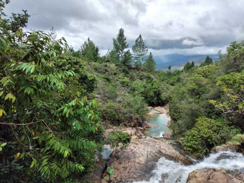 Foto ilustrativa de áreas protegidas en Panamá.