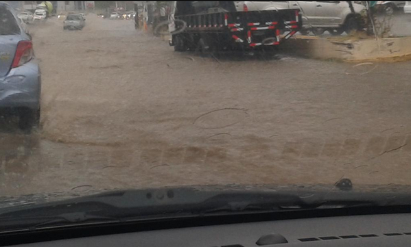 Caída de árboles e inundaciones producto de las lluvias