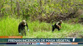 TR Verde: La macheterapia