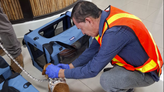 MIDA alerta sobre estafas por supuesta retención de mascotas en Panamá. MIDA alerta sobre estafas por supuesta retención de mascotas en Panamá.