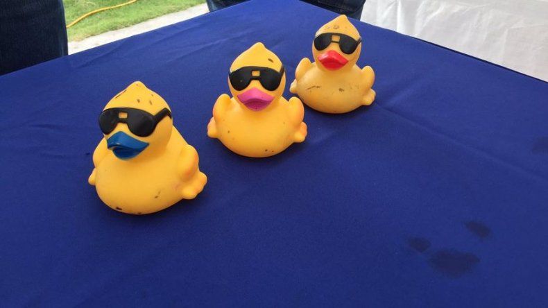 Apoyo masivo a las Aldeas SOS en la gran carrera del Patito de Hule