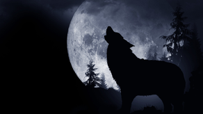 &nbsp;La Luna del Lobo: ¿Qué es y cuándo será?&nbsp;