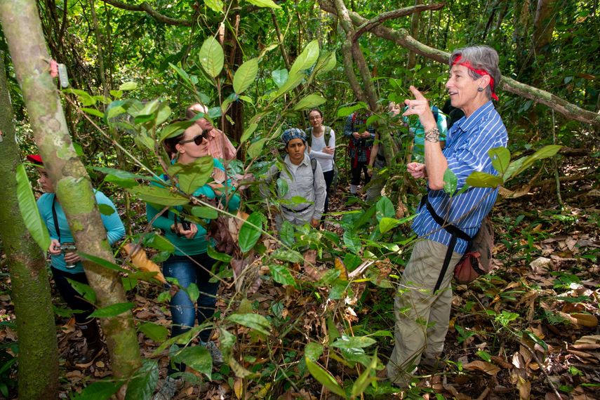 El Instituto Smithsonian de Investigaciones Tropicales abre la convocatoria de postulaciones al Programa de Verano.