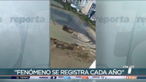 MiAmbiente dice que mancha en la Bahía de Panamá es materia orgánica MiAmbiente dice que mancha en la Bahía de Panamá es materia orgánica