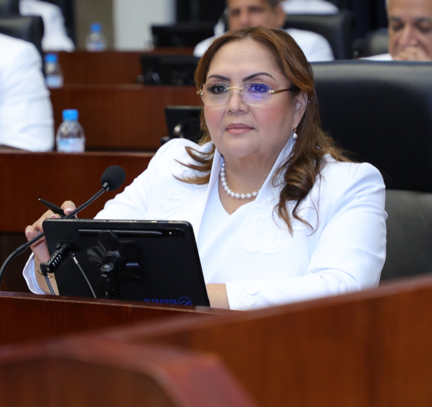 Asamblea Nacional: Con 44 votos gana la diputada Dana Castañeda&nbsp;