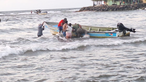 Guardaparques rescatan delfín varado en el Parque Nacional San Lorenzo.