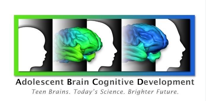 EEUU se aboca al mayor estudio hasta la fecha del cerebro adolescente