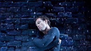 Jude Law pide a OMC impedir el comercio de focas