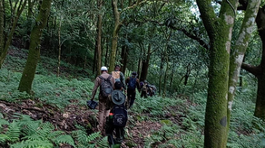 MiAmbiente detecta cultivos MiAmbiente detecta cultivos