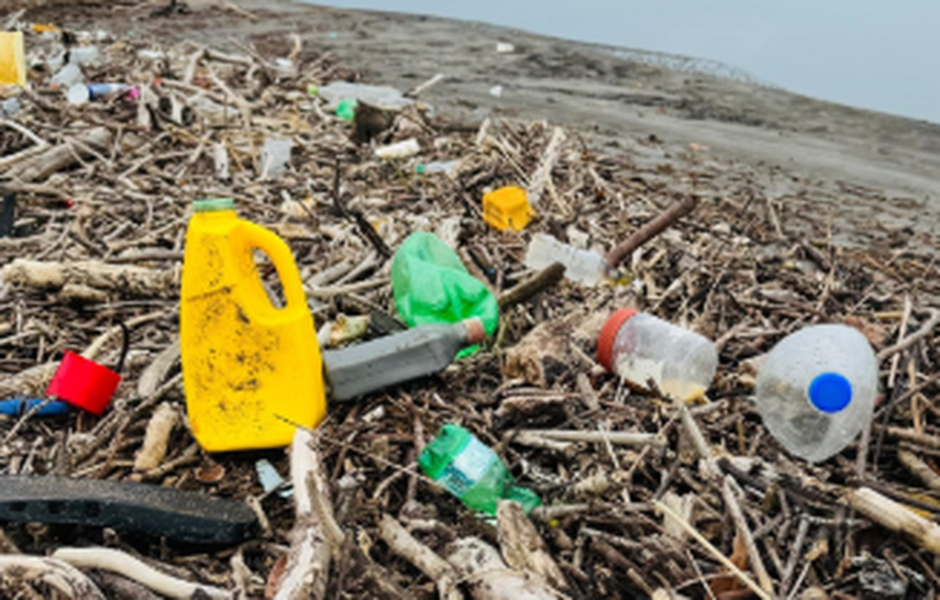 MiAmbiente y más de 200 voluntarios limpian Playa La Barqueta&nbsp;